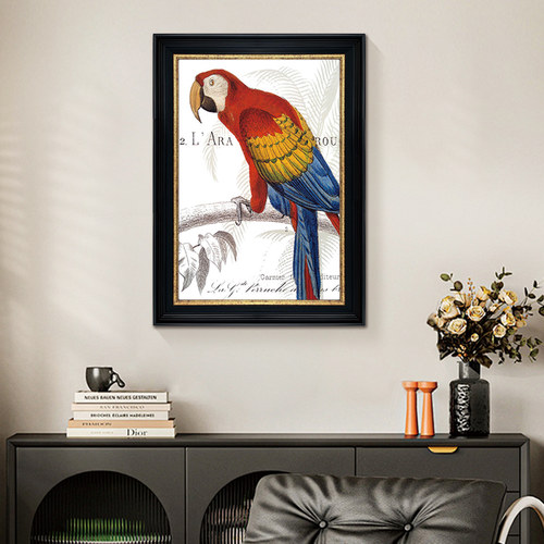 美式鹦鹉玄关装饰画宠物店挂画
