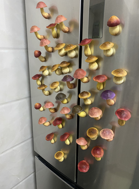 蘑菇冰箱贴树脂粘土手工冰箱贴磁吸立体创意卡通装饰品野生菌手作