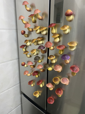 蘑菇冰箱贴树脂粘土手工冰箱贴磁吸立体创意卡通装饰品野生菌手作