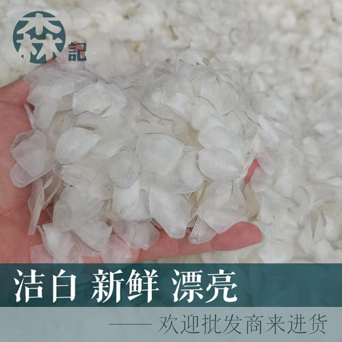 赤嘴鳘鱼鳞鮸鱼鳞片干货渔民自晒