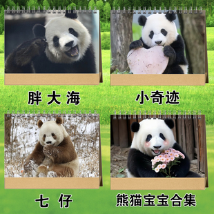大熊猫小奇迹七仔胖大海2026年台历挂历日历定制写真集相册照片画