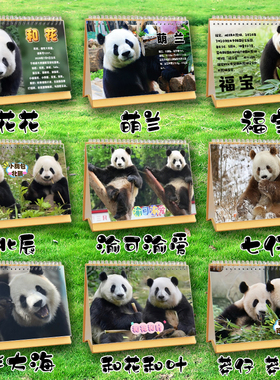 大熊猫萌兰福宝渝可渝爱和花和叶花花2026年双面台历挂历日历定制