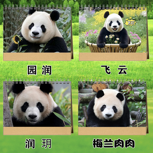 大熊猫圆润园润玥飞云梅兰肉肉2026年双面台历挂历日历定制照片画