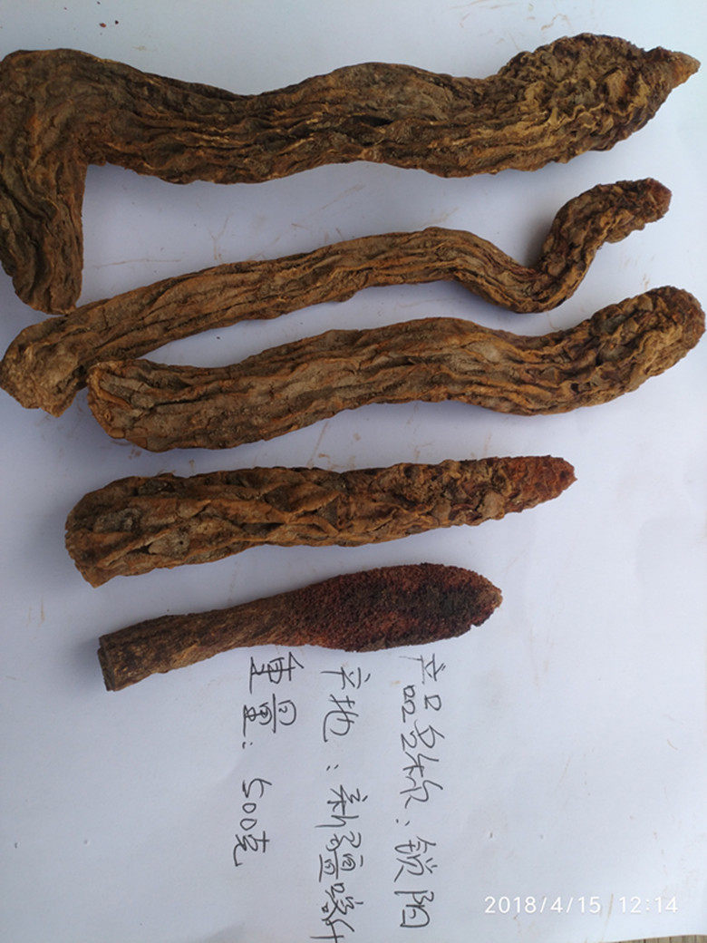 飞飞妈新款食用农产品中国大陆新疆野生锁阳肉苁蓉包邮