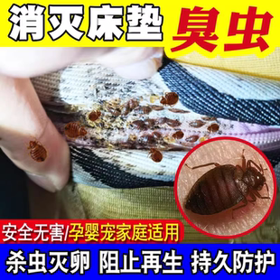 臭虫药床上用专用杀虫剂家用除虫杀床虱灭木虱神器驱虫防宿舍粉剂