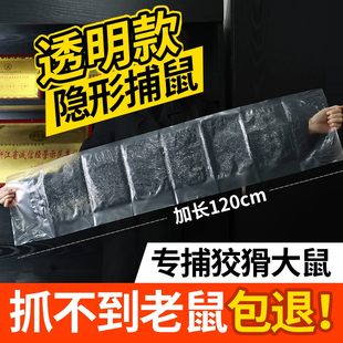 超强力粘鼠大老鼠贴捕鼠神老鼠克星透明隐形家用大号灭黏粘鼠魔毯