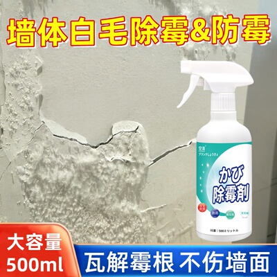墙体白毛除霉剂乳胶漆墙面长毛发毛清洗墙壁霉菌潮湿返潮发霉清洁