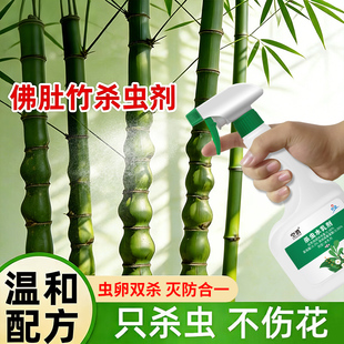 佛肚竹杀虫剂喷雾剂通用花卉植物杀虫家用非无毒虫卵双杀虫剂土壤