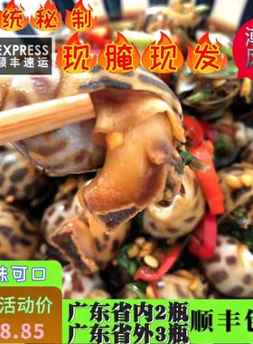 潮汕生腌熟腌花螺东风螺海螺腌制水产海猪螺网红腌螺腌制海鲜罐装