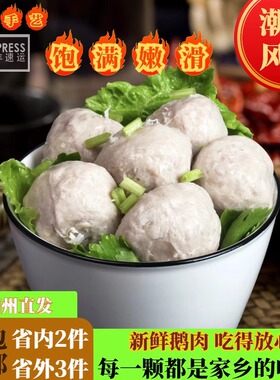 潮汕特产传统小吃正宗狮头鹅肉丸送礼佳品 烧烤火锅麻辣烫肉丸子