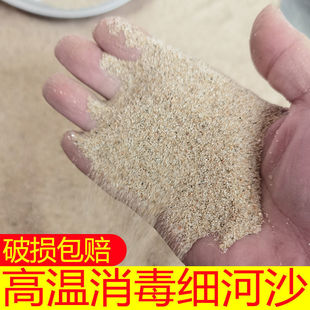 乌龟下蛋沙养乌龟冬眠沙土天然河沙细沙子乌龟孵化沙子蓝白专用沙