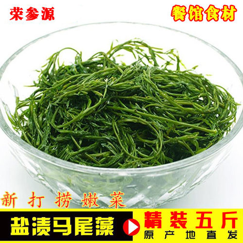 新鲜马尾藻长寿菜火锅串串麻辣烫