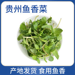 贵州特产鱼香菜遵义豆花面糟辣鱼羊肉粉配料鱼香泡芙每天现摘现发