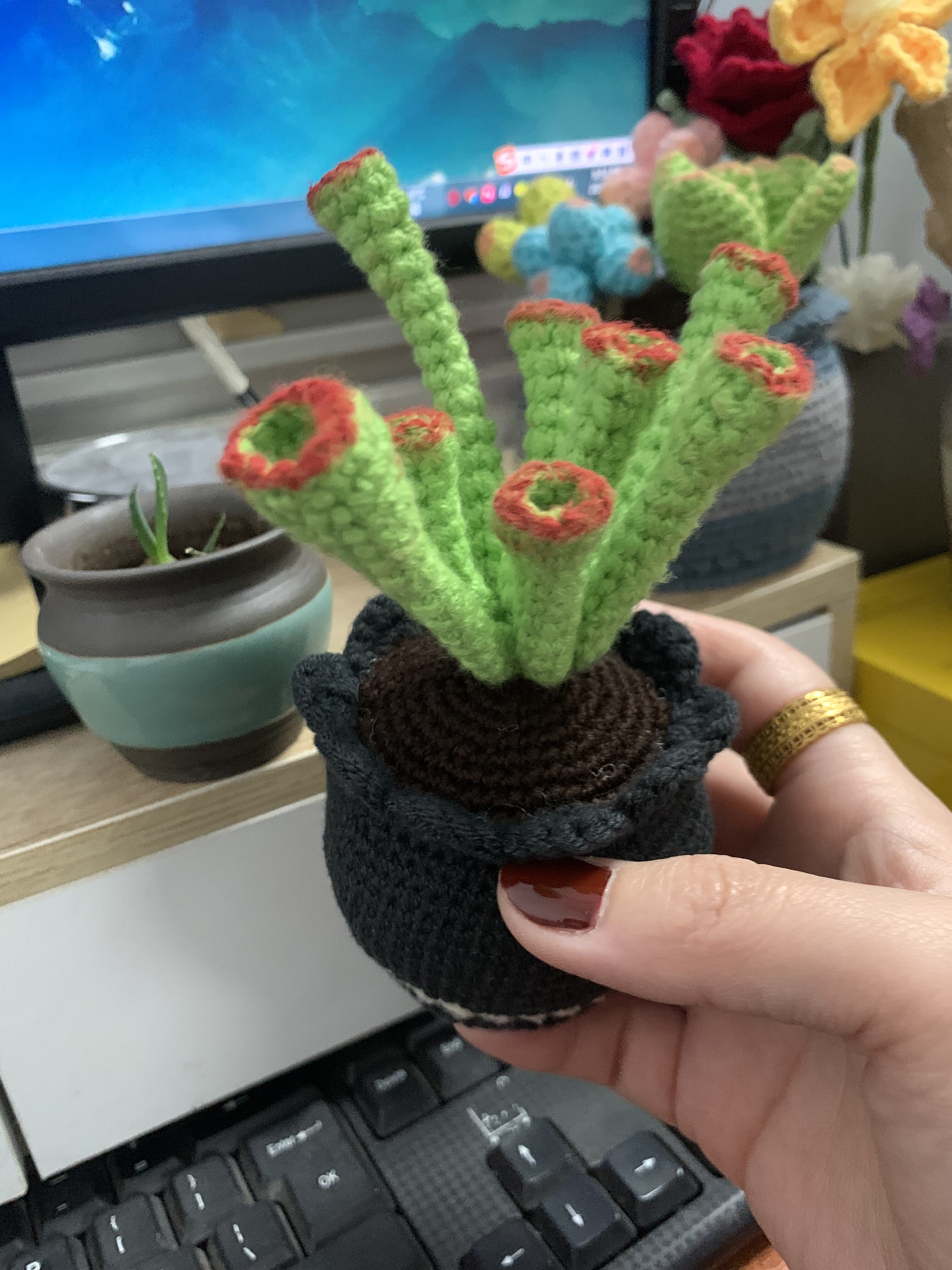 DIY手工编织毛线成品多肉盆栽吸财树八方来财办公室摆件