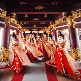 簪花仕女图舞蹈服装古典舞演出服汉服外披艺考服装大袖中国风群舞