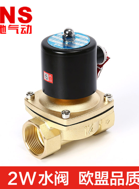 SNS神驰全铜二位二通水阀电磁阀2W025-08/040/160-15/2L250/350