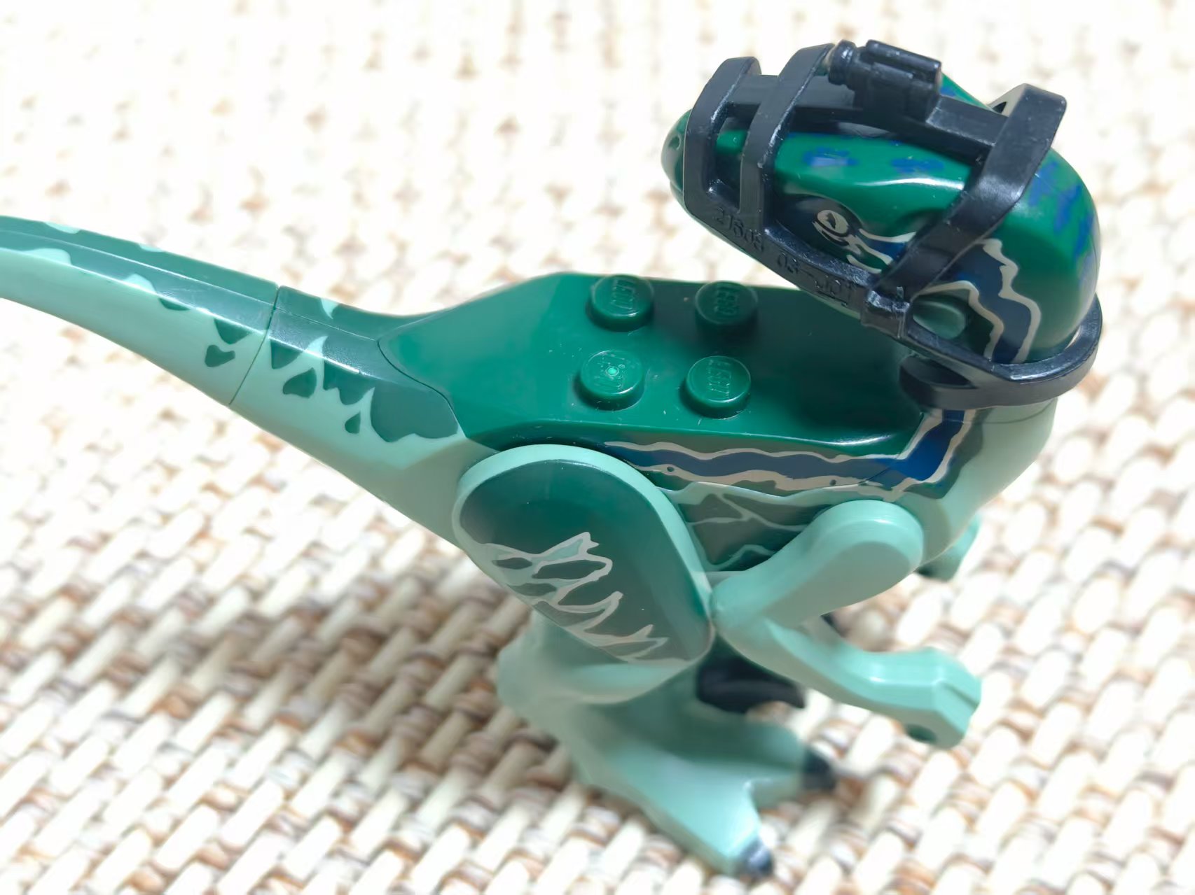 LEGO乐高 侏罗纪世界 Raptor07 75917 迅猛龙blue 伶盗龙 带头套
