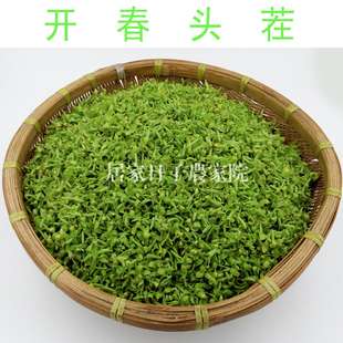 2026新茶货 柳芽柳叶茶嫩柳尖下火下小肠火茶养生季节性100克清香