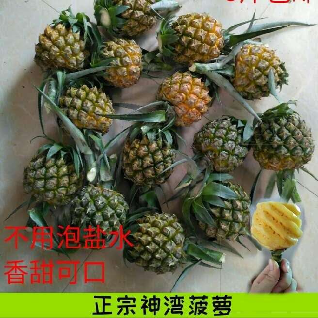 中山小菠萝当季包邮海南香水凤梨