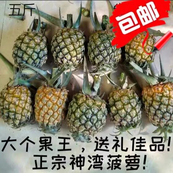 正宗神湾菠萝应季鲜免泡盐水香甜图片