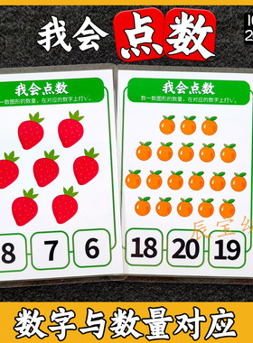点数数字数量卡片儿童数学教具