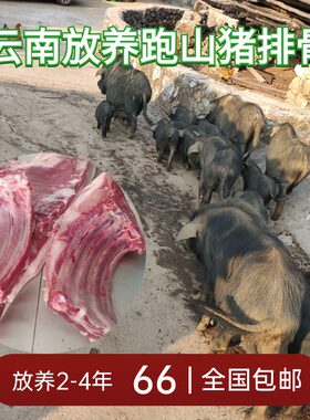 云南高原跑山黑土猪排骨