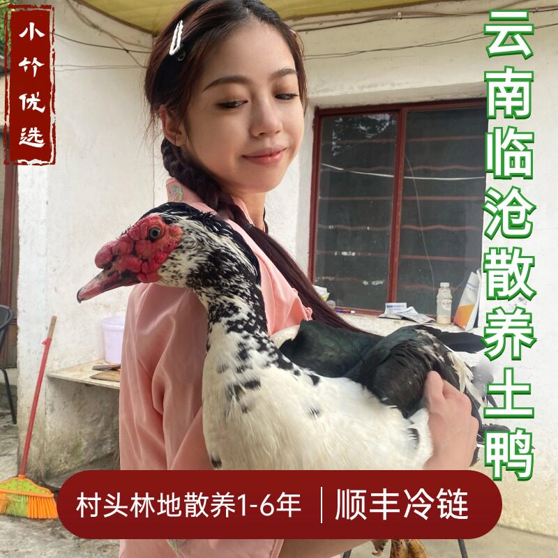 云南农村山货红脸土鸭子高原散养新鲜现杀旱鸭活体番鸭肉黄焖煲汤