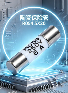 R054陶瓷保险管丝5X20mm 250V熔断器体RO54 2A 4A 6A 10A 16A 20A