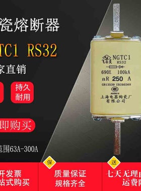 飞灵RS32 NGTC1-250A 690V熔芯快速熔断器200A160A300A100A225A