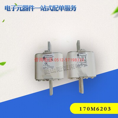 170M6145170M6146170M6147170M6148170M6149170M6151全新熔断器