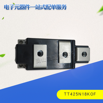 可控硅模块TT425N12KOF