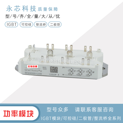 西门康SKM40GD123DIGBT模块