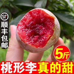 正宗嵊州桃形李子水果新鲜浙江脱骨红心三华李5斤整箱脆甜桃型李