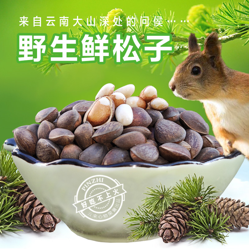 云南特产散装新鲜松子落水松黑松子儿童孕妇休闲坚果零食生松子