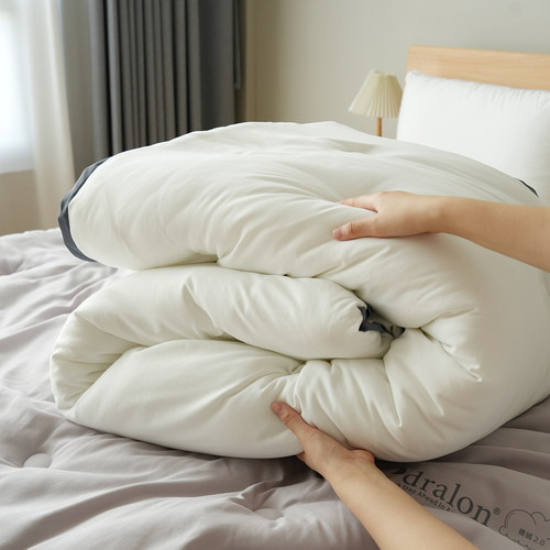 德绒被加厚大尺寸棉被冬款床品