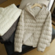 基础保暖外套冬款 会员拍 女士连帽轻薄款 羽绒服 90白鸭绒 可溯源