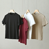 短袖 女装 显瘦圆领T恤衫 上衣 女士薄款 夏款 纯色基础款 山东网店
