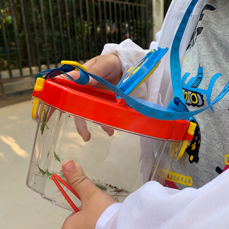 幼儿园小学生观察放大镜昆虫植物