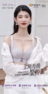 安芝娜内衣女性感蕾丝无钢圈薄款小胸聚拢收副乳防下垂文胸罩6530