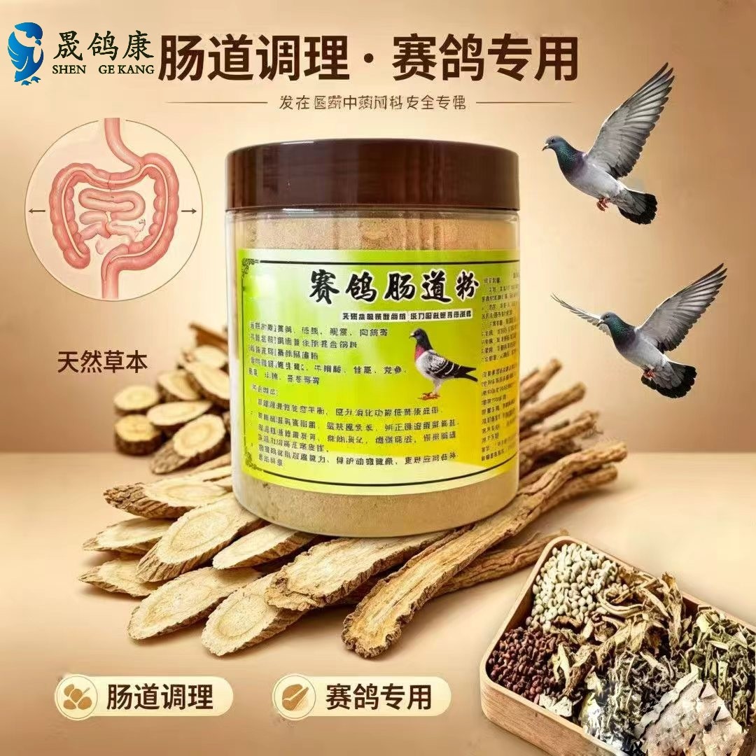 鸽子肠道中药粉信鸽赛鸽鹦鹉绿便水便处理消化改善肠道正品专用药