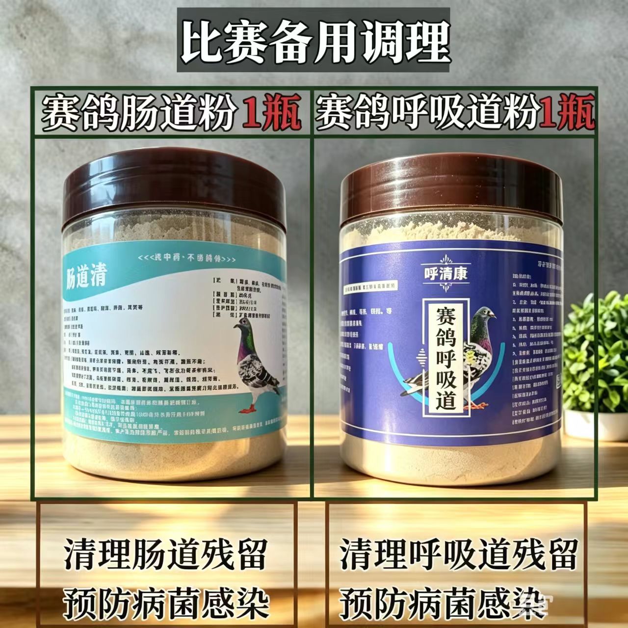 赛鸽中药粉升级版鸽子肠道药呼吸道毛滴虫绿便拉稀甩食抗病毒专治