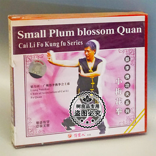 武术光盘 主讲 蔡李佛功夫系列 1VCD 梁乃钊 小梅花拳 俏佳人正版