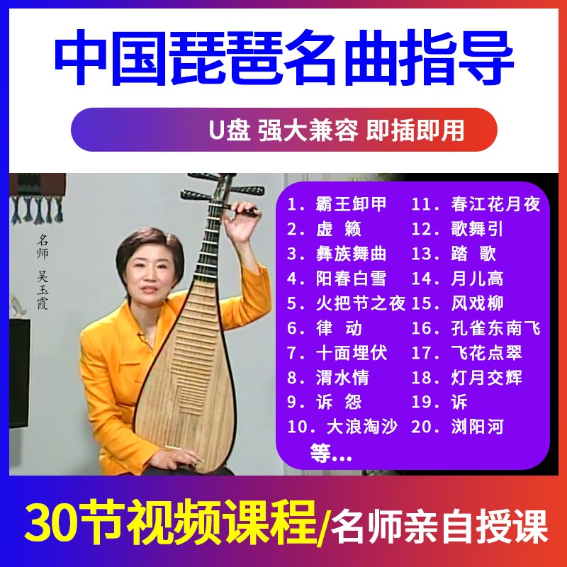 正版吴玉霞中国琵琶名曲指导U盘教学视频示范演奏教程优盘非碟片
