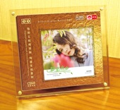 天艺唱片张玮伽 母盘直刻高品质无损HIFI发烧音乐CD碟 梦里水乡