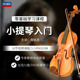 先恒正版 零基础学习课程小提琴入门DVD碟片学习教程视频U盘