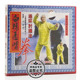 1VCD 正版 张贵增 连环肘捶法 武术教学 俏佳人 白猿通背拳系列