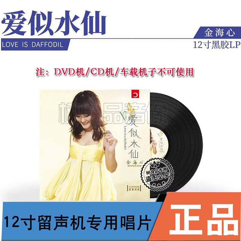 正版新京文唱片 金海心 爱似水仙 留声机专用黑胶LP唱片12寸33转