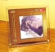 天艺唱片童丽 母盘直刻高品质无损HIFI发烧音乐CD 国语十大金曲