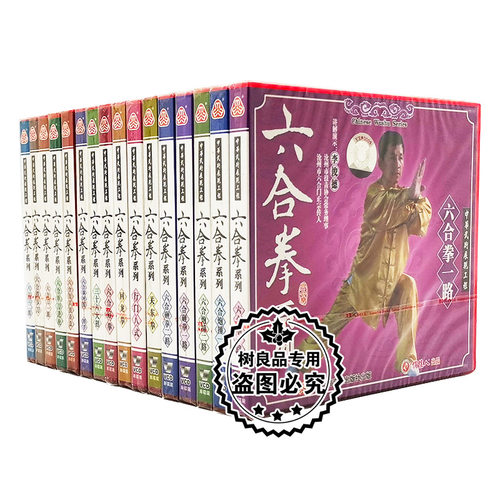 俏佳人正版武术教学碟片 六合拳系列 16VCD 讲解演示：李俊德