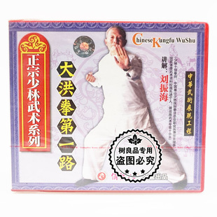 1VCD主讲 俏佳人正版 大洪拳一路 正宗少林武术系列 刘振海 碟片